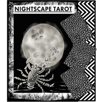 This Nightscape Tarot image includes the Moon card.
